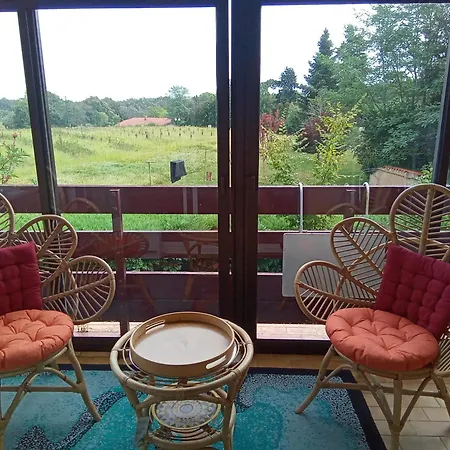 شقة Cosy Avec Terrasse Et Barbecue A 28 M² Cazaubon