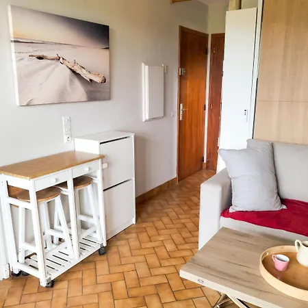 Apartamento Cosy Avec Terrasse Et Barbecue à - 28 M²