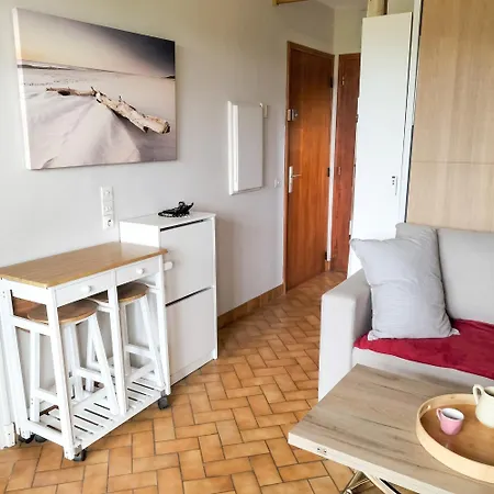 Cosy Avec Terrasse Et Barbecue à - 28 M² Apartamento *